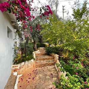 Kraliçe Yataklı Studio Odası